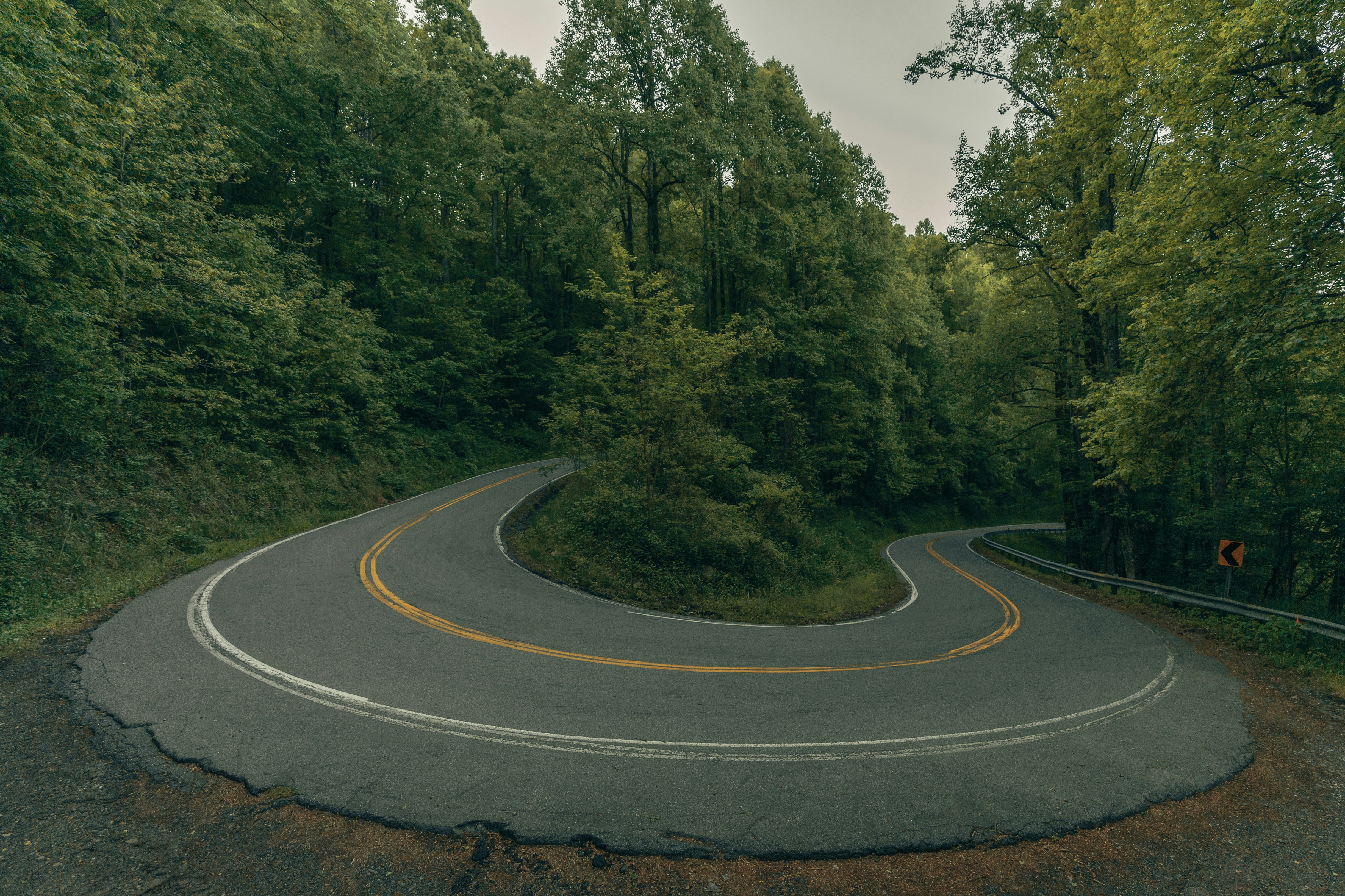 gray asphalt road in between green trees during daytime